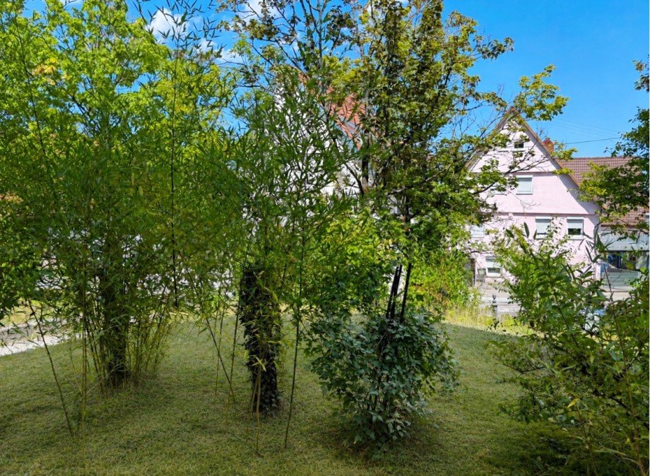 Aussicht von der Terrasse Erdgeschosswohnung Filderstadt